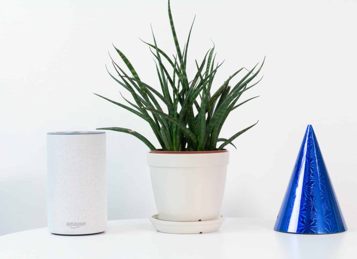 Celebrating our fourth birthday